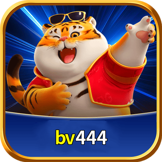 bv444 logo